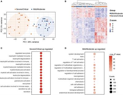 Identifying Risk Factors for <mark class="highlighted">Secondary Infection</mark> Post-SARS-CoV-2 Infection in Patients With Severe and Critical COVID-19